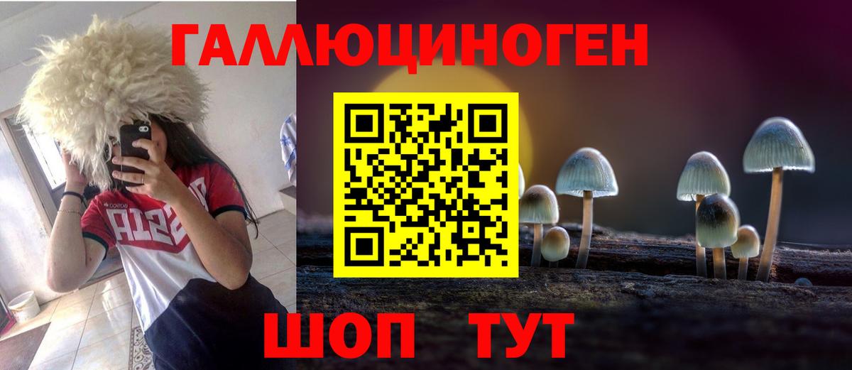 Галлюциногенные грибы Cubensis Керчь